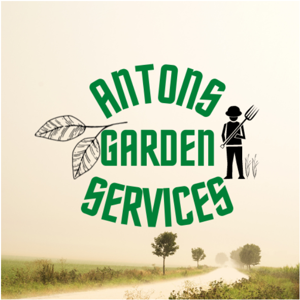 Anton's Logo